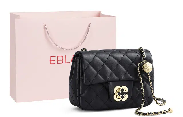 EBLAN ins