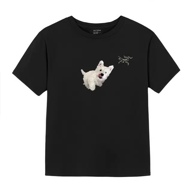 Arcteryx logoT black