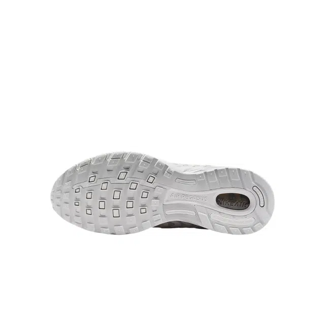 Nike Air Pegasus 2005 SE