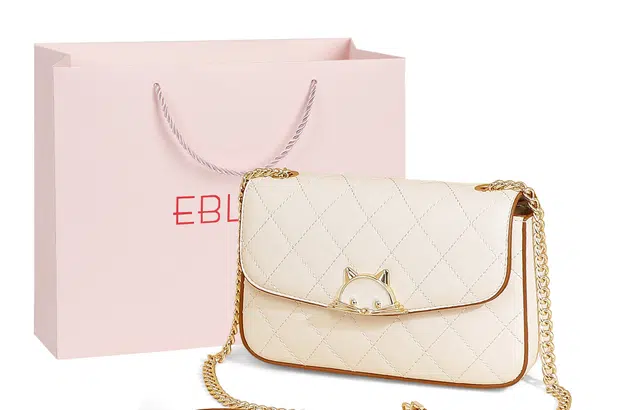 EBLAN ins