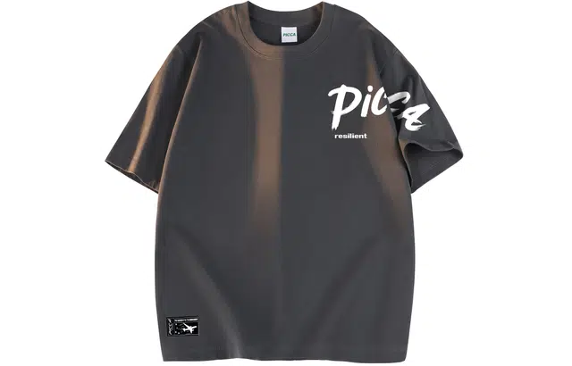 Picca logoT