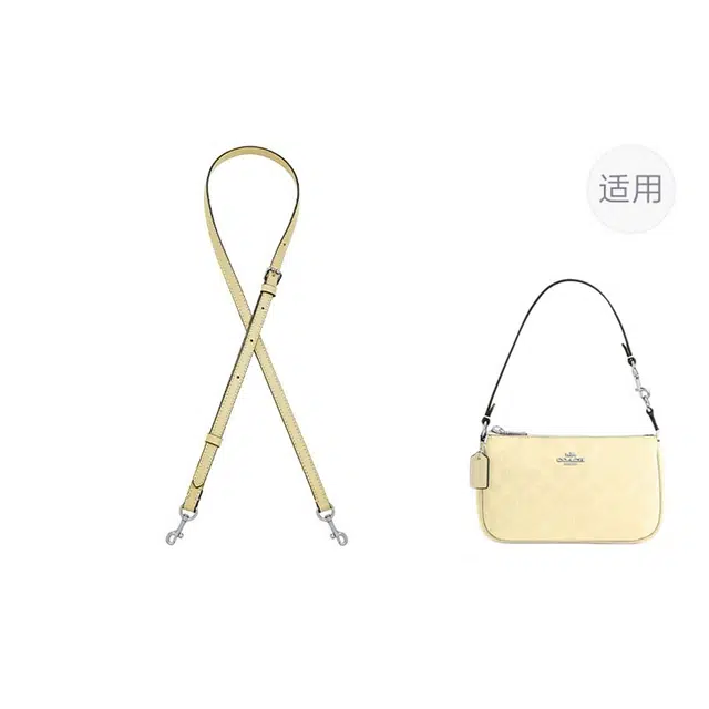 jingxi coach