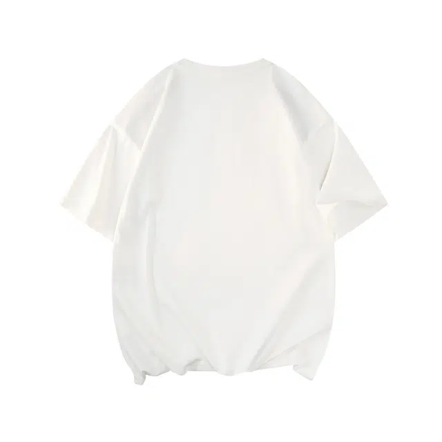 SNOW FLYING T