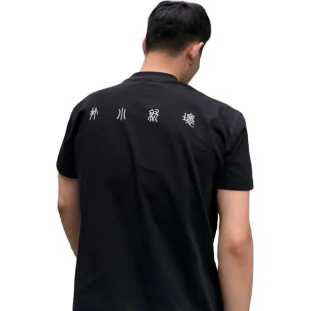 PVPVPV T