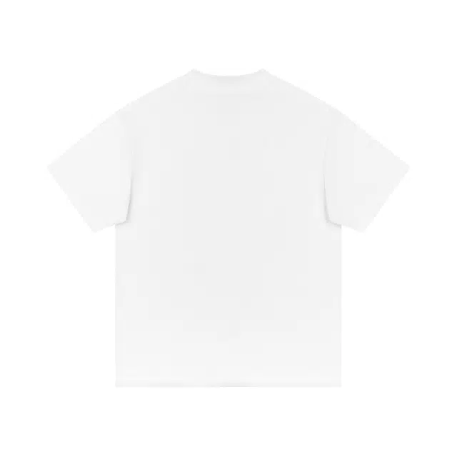 SNOW FLYING T