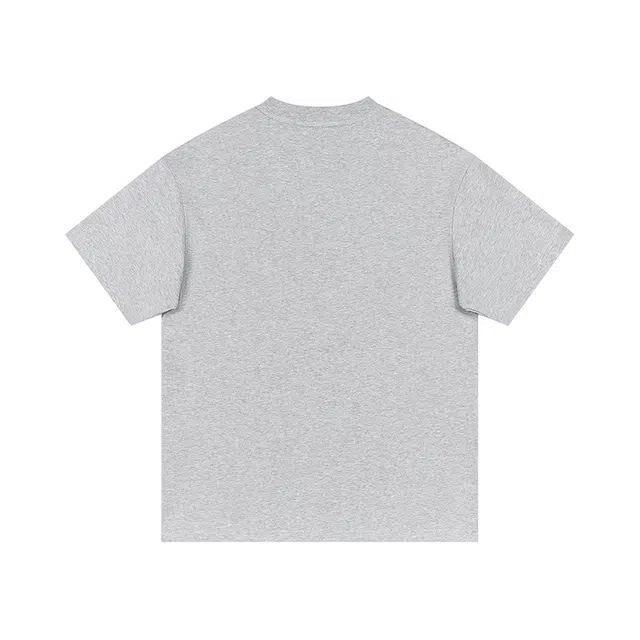 SNOW FLYING T