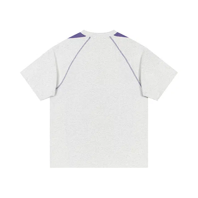 SNOW FLYING T