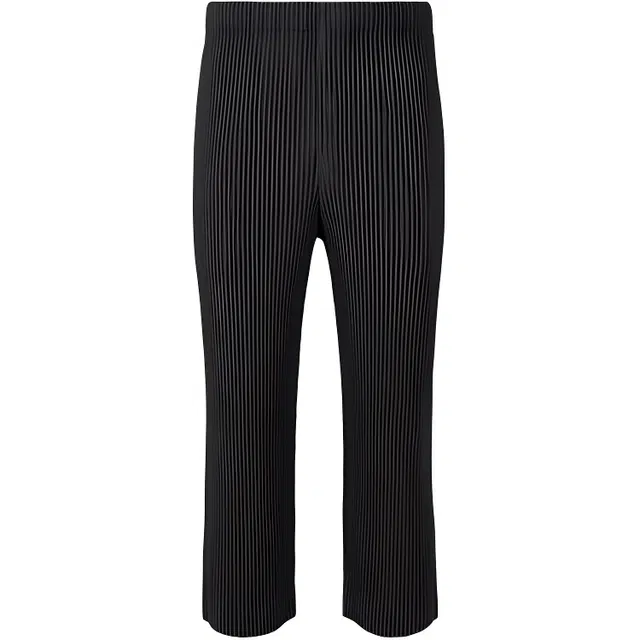 Homme Pliss Issey Miyake