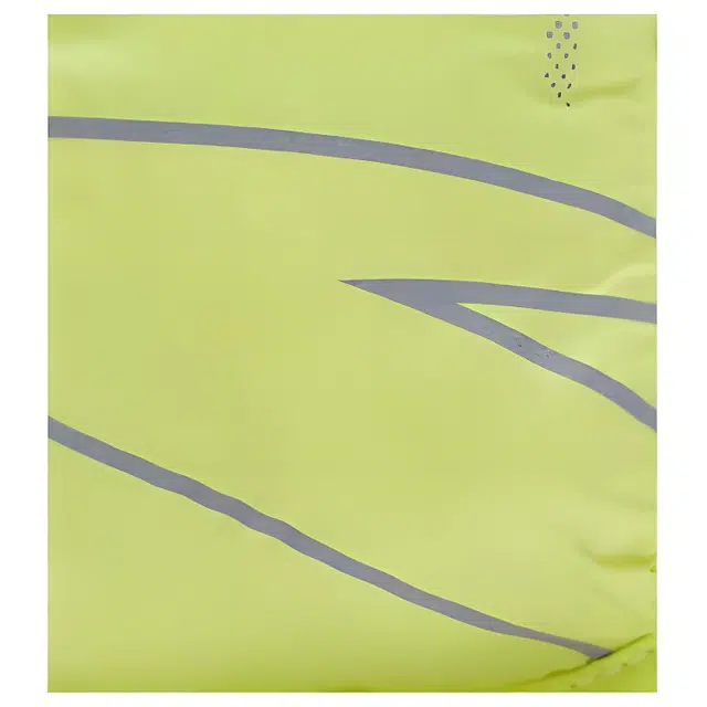 Anta