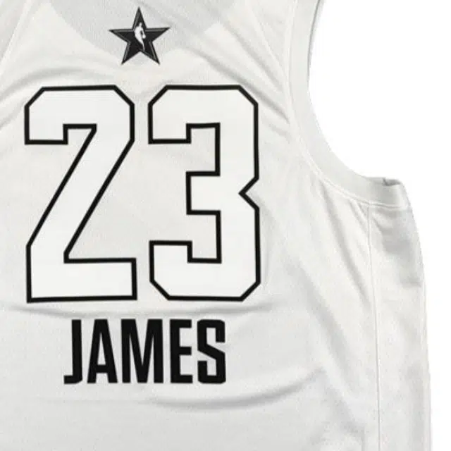 Jordan x NBA SWINGMAN 2018 LOGO