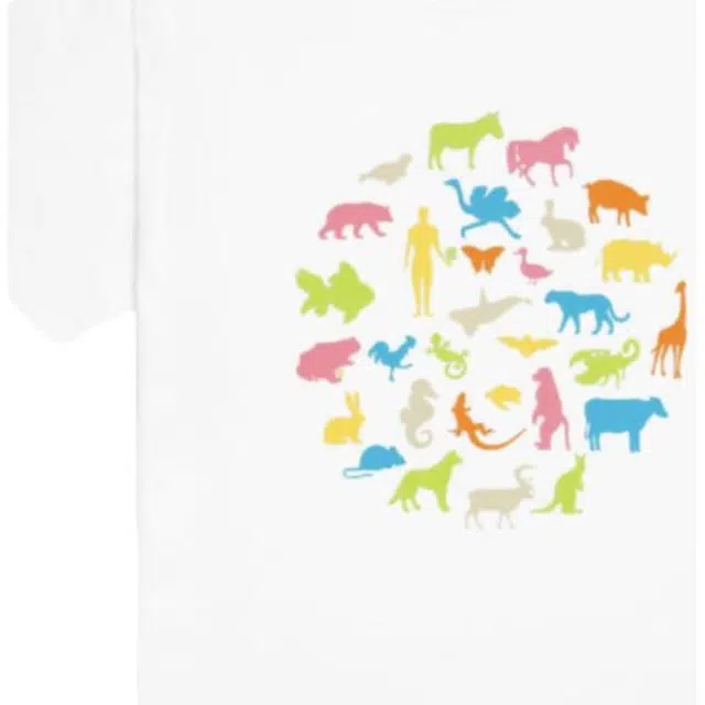 CLOT FW23 20 EXPO T