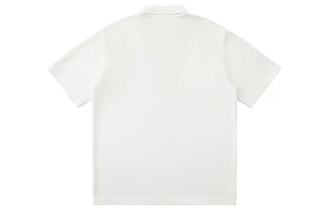 NCAA logoPolo