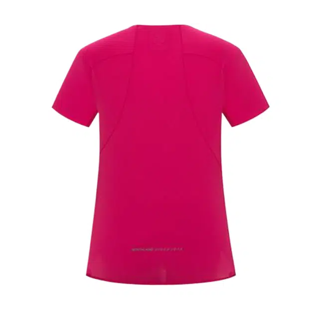 NORTHLAND PROFESSIONAL T