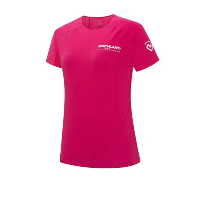 NORTHLAND PROFESSIONAL T