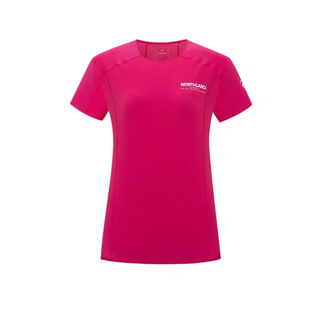 NORTHLAND PROFESSIONAL T