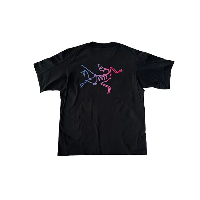 Arcteryx KRAGG logoT BlackMulti