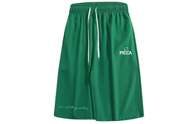 Picca logo