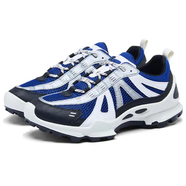 ecco Biom C Trail