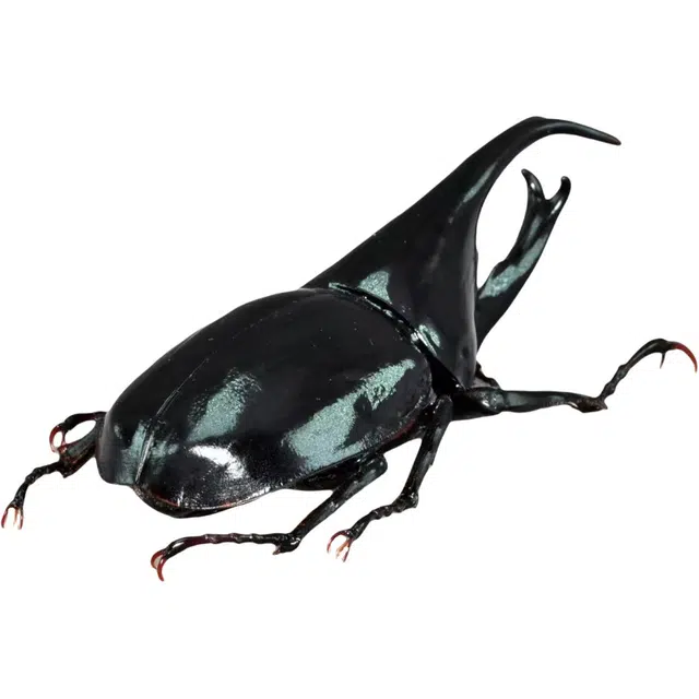 85mm