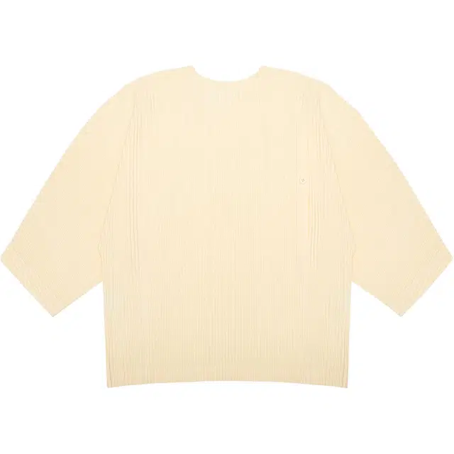 Homme Pliss Issey Miyake T