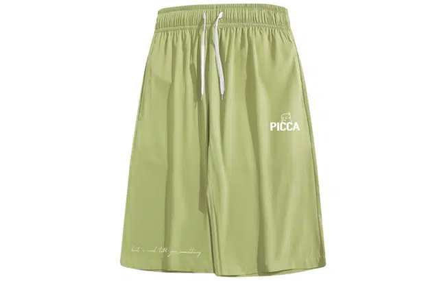 Picca logo
