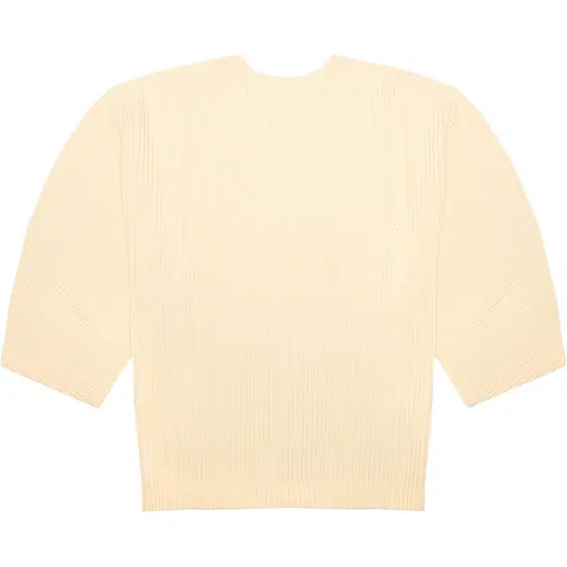 Homme Pliss Issey Miyake T