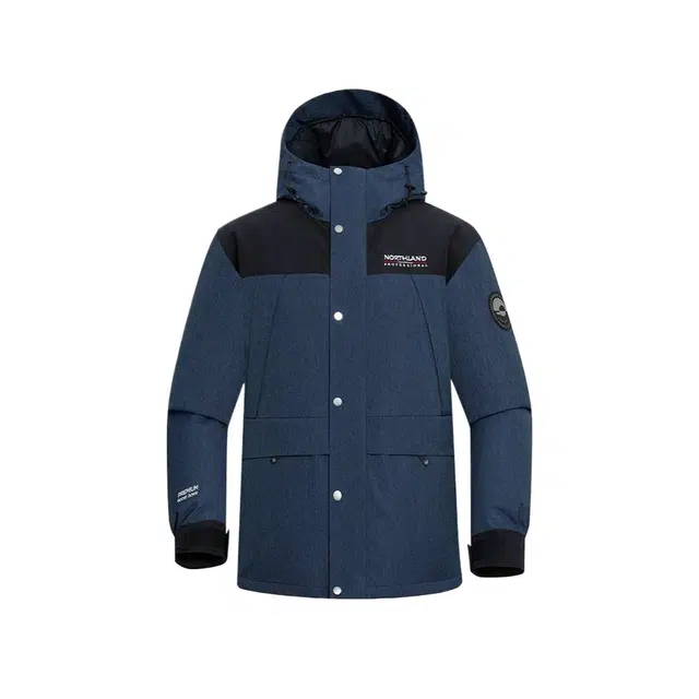 NORTHLAND PROFESSIONAL