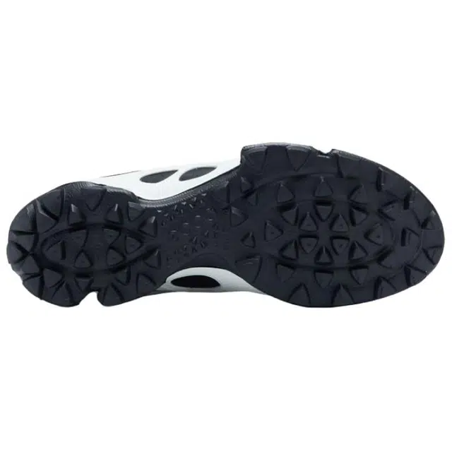 ecco Biom C Trail