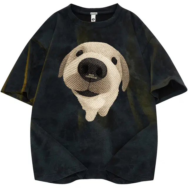 PAUL COSTELLOE LOGOT