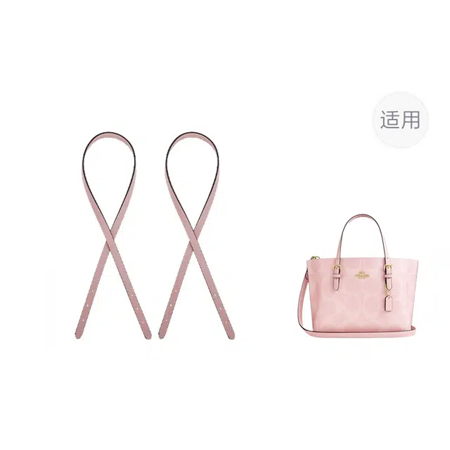 jingxi coachmollie25