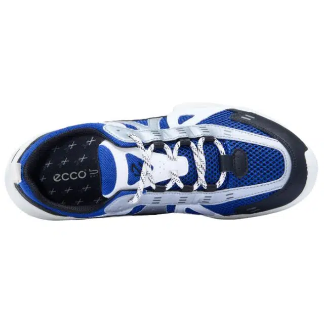 ecco Biom C Trail