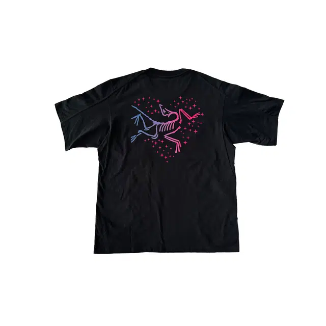 Arcteryx KRAGG logoT BlackMulti