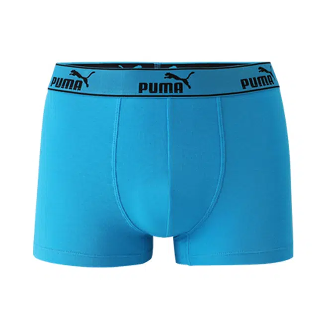 PUMA 3