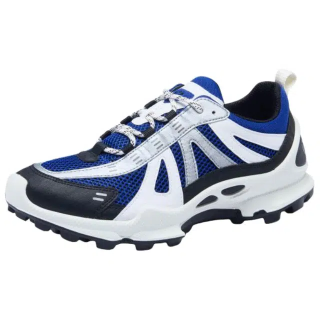 ecco Biom C Trail