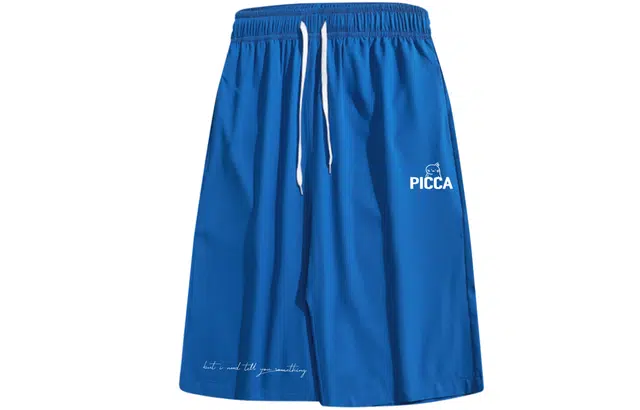 Picca logo