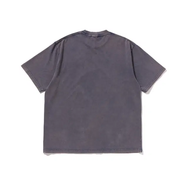 BAPE SS25 T