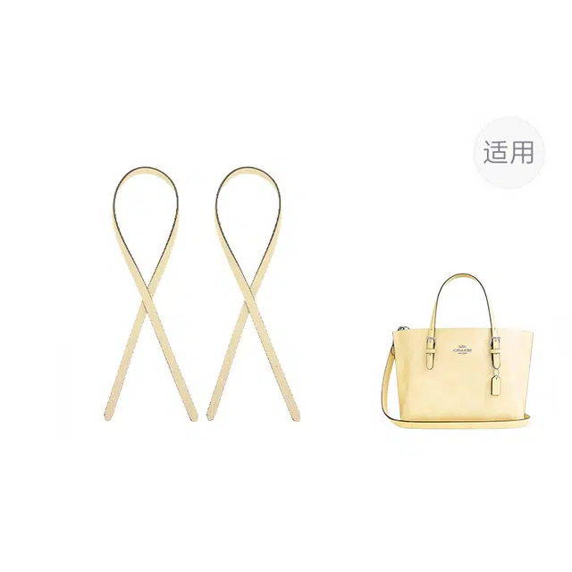 jingxi coachmollie25
