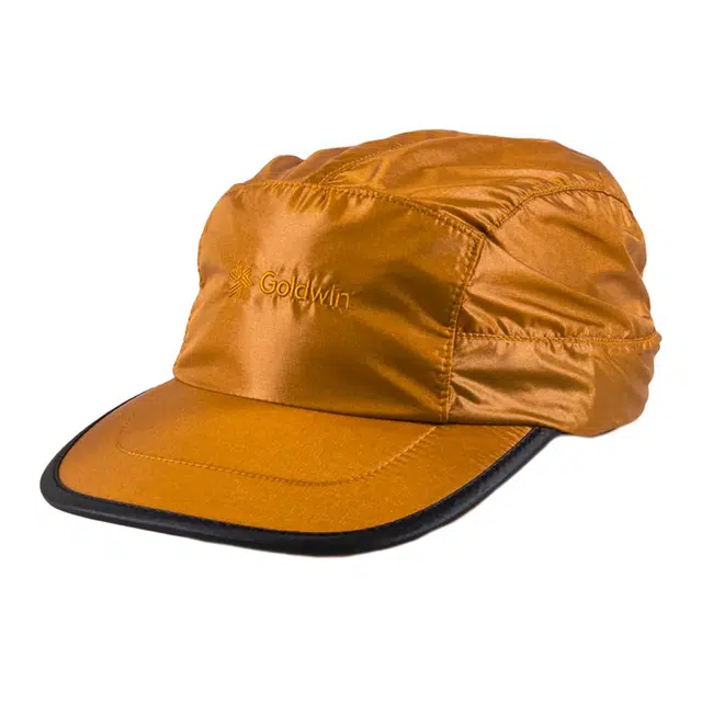 Goldwin Logo