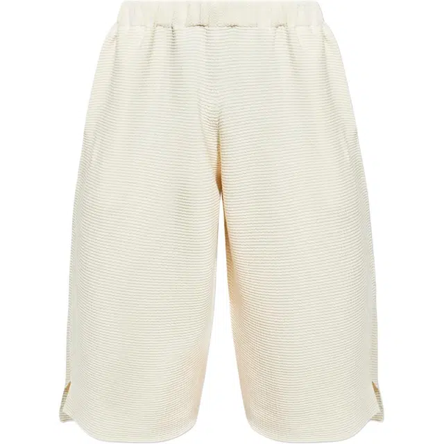 Homme Pliss Issey Miyake