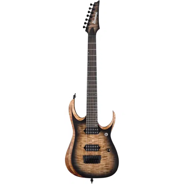 Ibanez Axion Label RGD61ALRGD71ALRGD7521 67