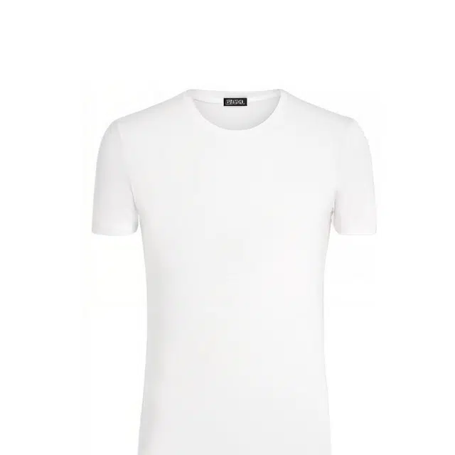 Zegna T