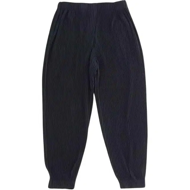 Homme Pliss Issey Miyake