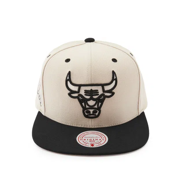 Mitchell Ness Lifestyle NBA