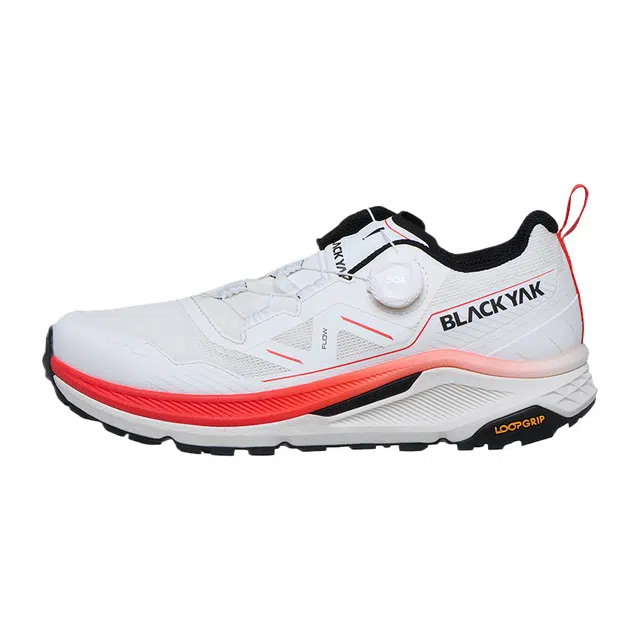 BLACKYAK Flow Run D