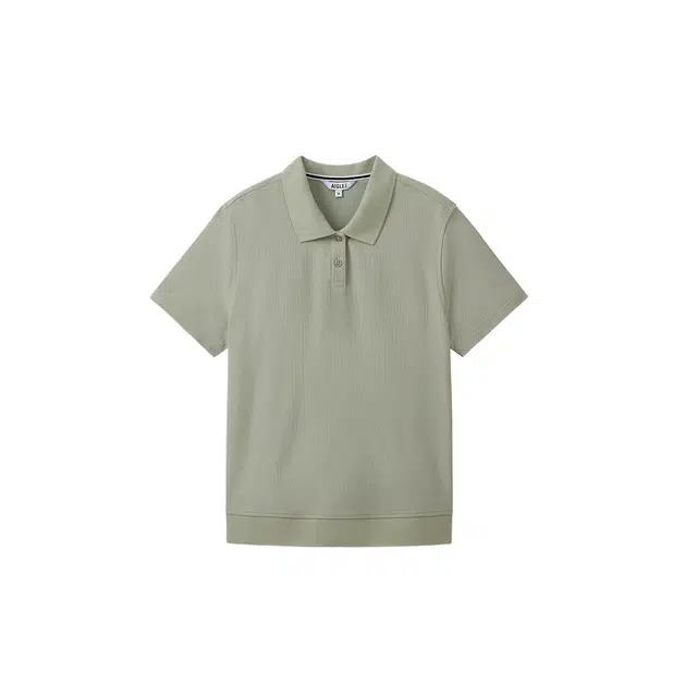 AIGLE T
