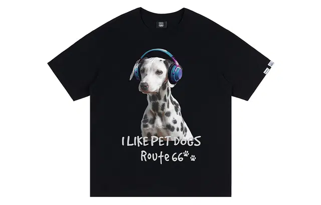66ROUTE 66 T
