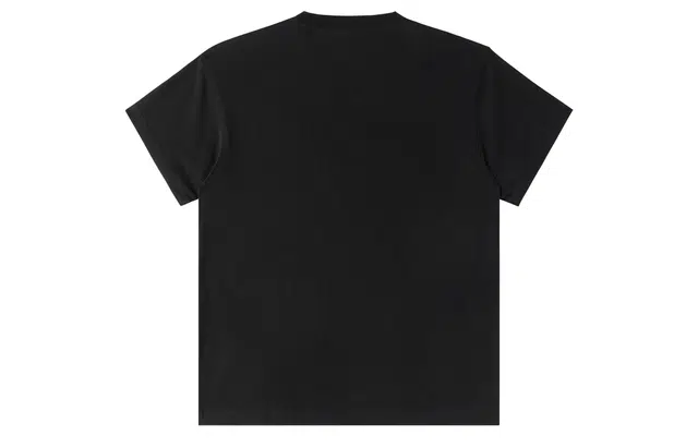 SFNT T