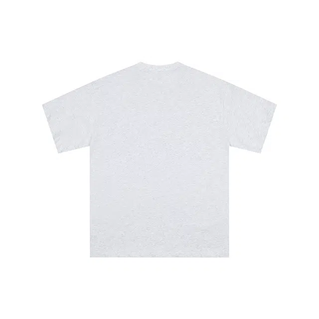 FEAROM T