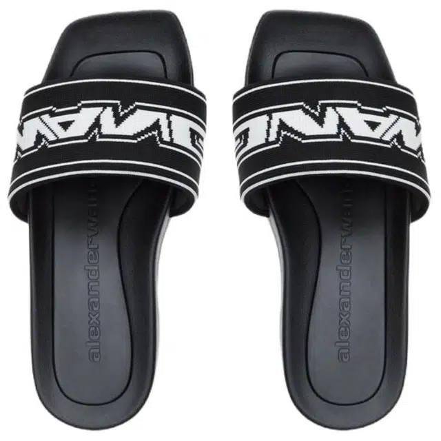 alexander wang
