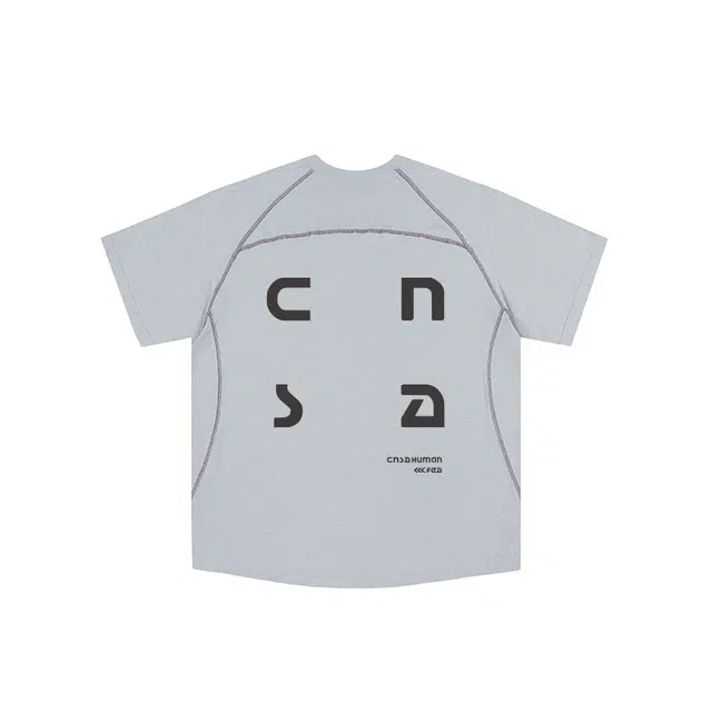 FEAROM T